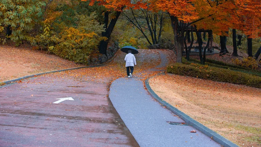 Letting Casual Friendships Lapse Creates Severe Isolation Later