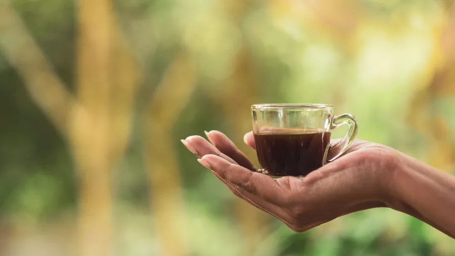 Slowing Down Daily Pace Heals Chronic Stress