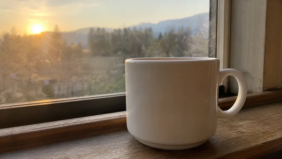 Sipping Coffee In Total Silence