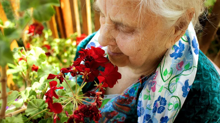 Noticing Small Sensory Pleasures Delivers the Deepest Joy