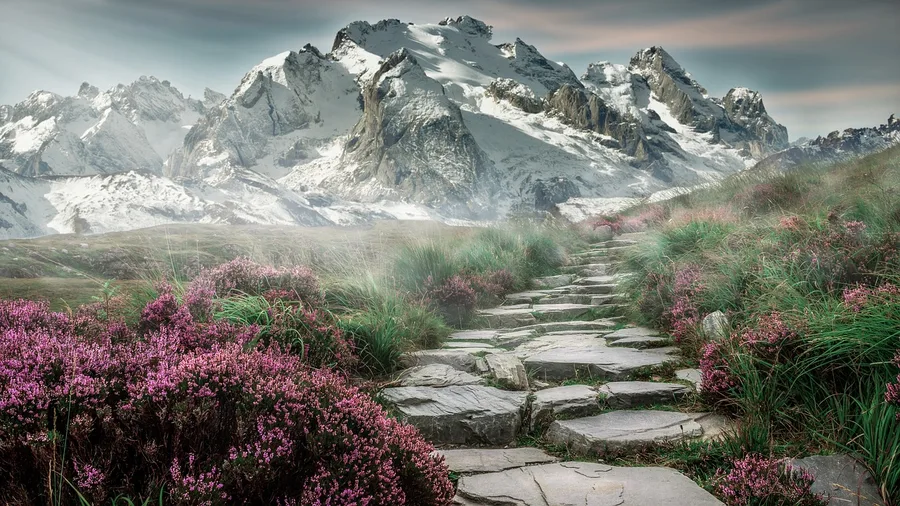 Postponing High-Endurance Travel Leaves Lifelong Bucket Lists Unfinished